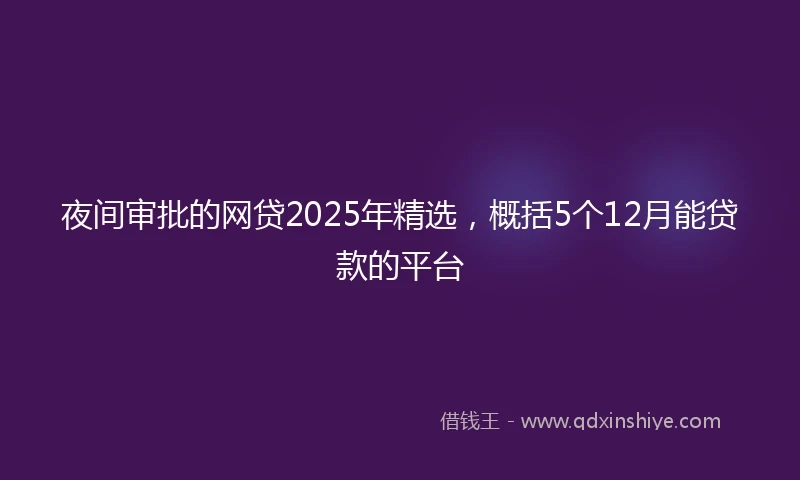 夜间审批的网贷2025年精选，概括5个12月能贷款的平台