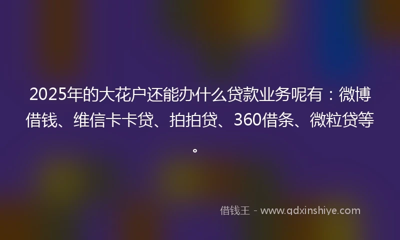 2025年的大花户还能办什么贷款业务呢有：微博借钱、维信卡卡贷、拍拍贷、360借条、微粒贷等。