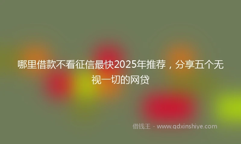 哪里借款不看征信最快2025年推荐，分享五个无视一切的网贷