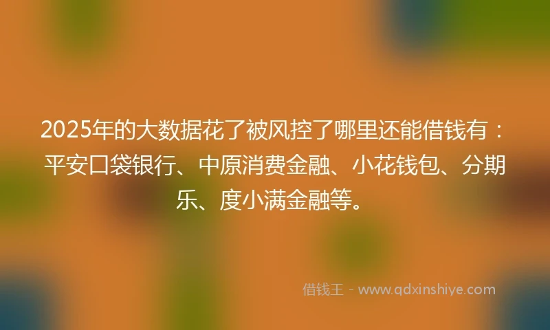 2025年的大数据花了被风控了哪里还能借钱有：平安口袋银行、中原消费金融、小花钱包、分期乐、度小满金融等。