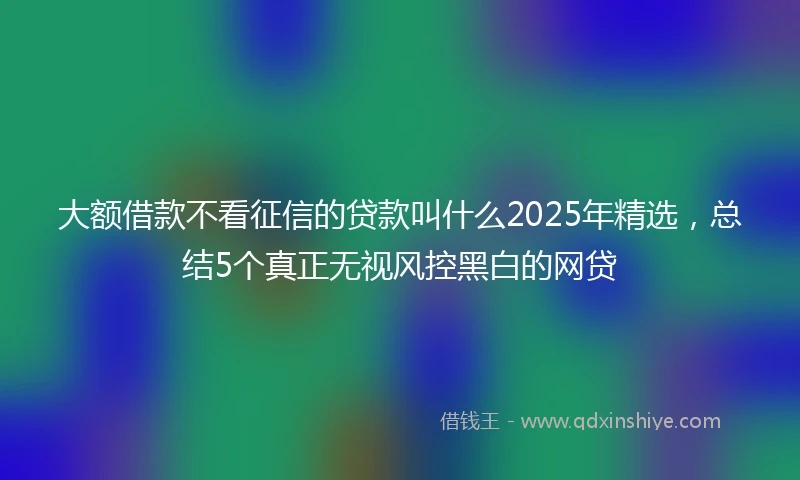 大额借款不看征信的贷款叫什么2025年精选，总结5个真正无视风控黑白的网贷
