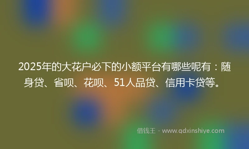 2025年的大花户必下的小额平台有哪些呢有：随身贷、省呗、花呗、51人品贷、信用卡贷等。