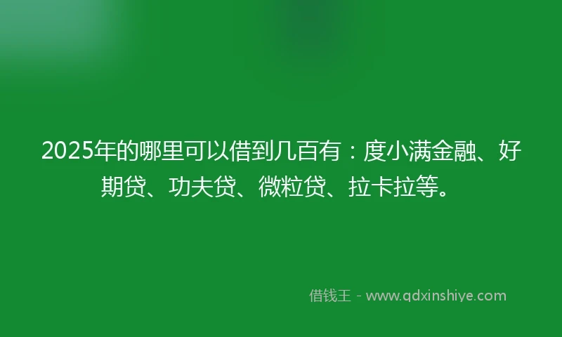2025年的哪里可以借到几百有：度小满金融、好期贷、功夫贷、微粒贷、拉卡拉等。
