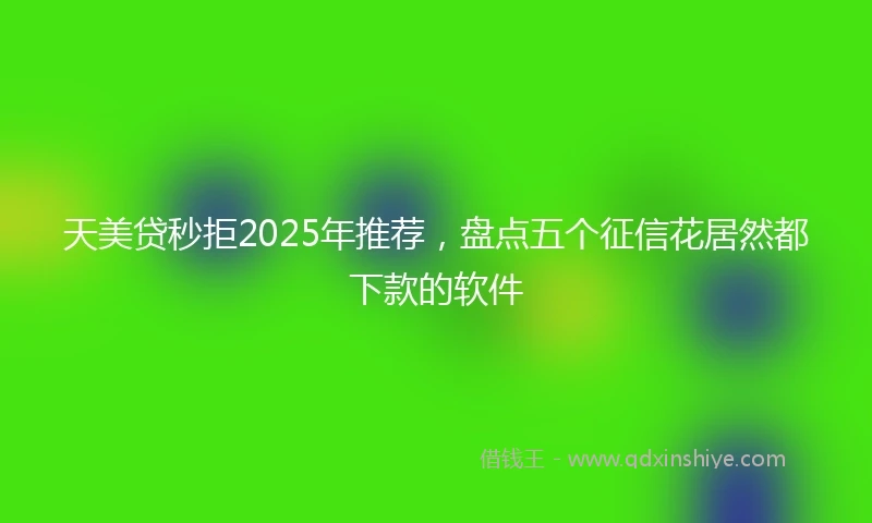 天美贷秒拒2025年推荐，盘点五个征信花居然都下款的软件