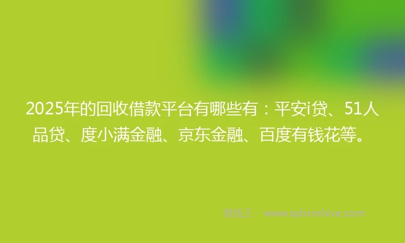 2025年的回收借款平台有哪些有：平安i贷、51人品贷、度小满金融、京东金融、百度有钱花等。