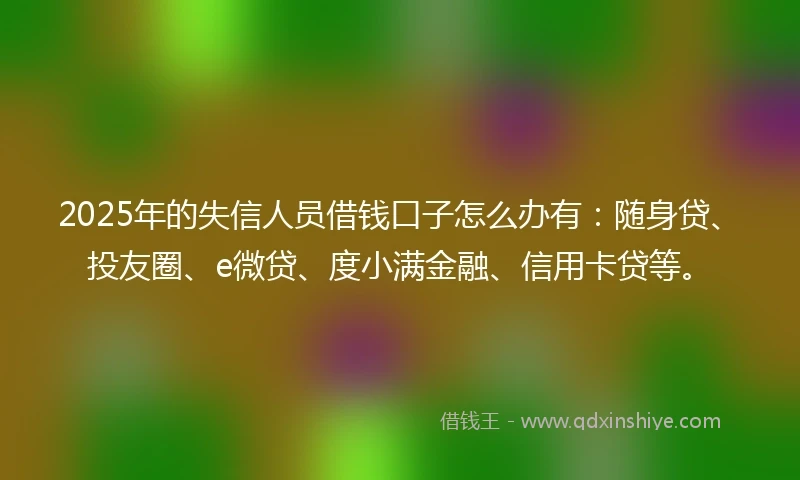 2025年的失信人员借钱口子怎么办有：随身贷、投友圈、e微贷、度小满金融、信用卡贷等。