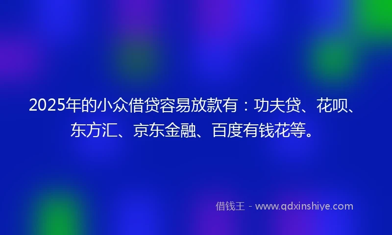 2025年的小众借贷容易放款有：功夫贷、花呗、东方汇、京东金融、百度有钱花等。