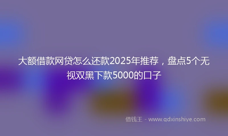 大额借款网贷怎么还款2025年推荐，盘点5个无视双黑下款5000的口子