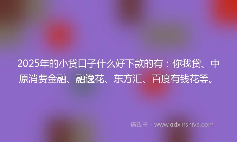 2025年的小贷口子什么好下款的有：你我贷、中原消费金融、融逸花、东方汇、百度有钱花等。
