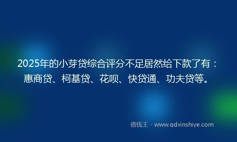 2025年的小芽贷综合评分不足居然给下款了有：惠商贷、柯基贷、花呗、快贷通、功夫贷等。
