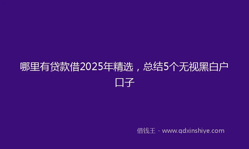 哪里有贷款借2025年精选，总结5个无视黑白户口子
