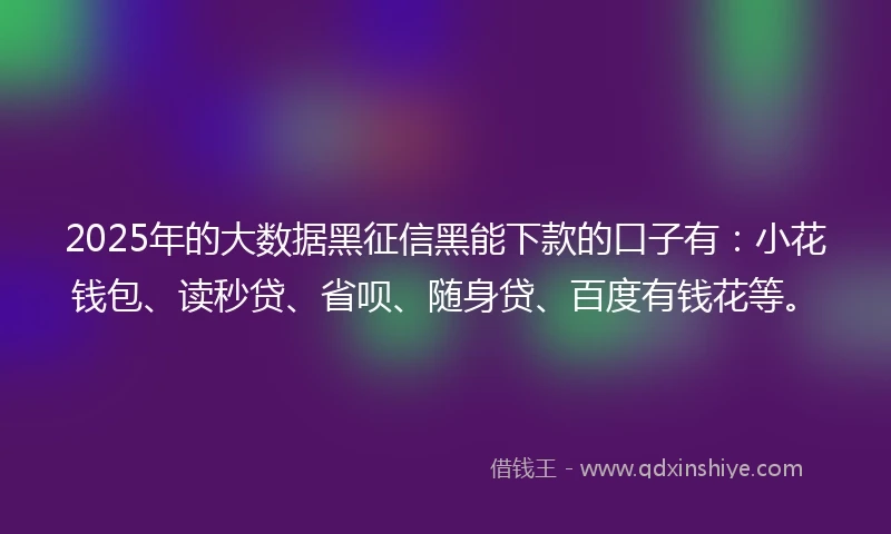 2025年的大数据黑征信黑能下款的口子有：小花钱包、读秒贷、省呗、随身贷、百度有钱花等。