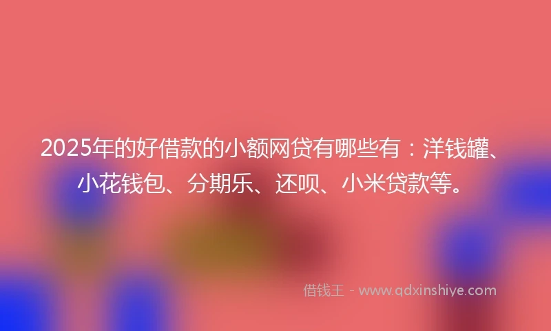 2025年的好借款的小额网贷有哪些有：洋钱罐、小花钱包、分期乐、还呗、小米贷款等。