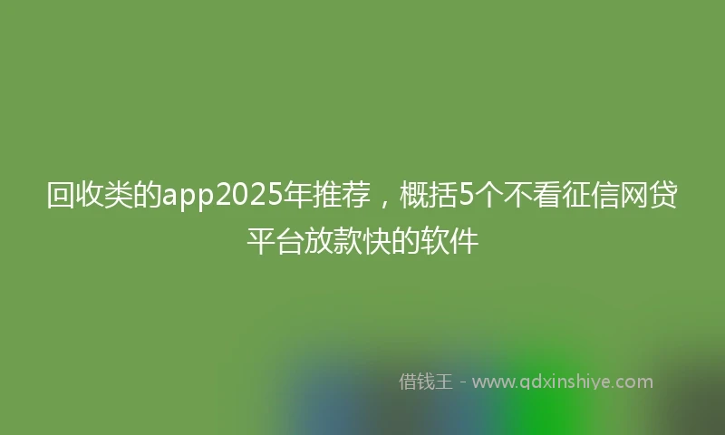 回收类的app2025年推荐，概括5个不看征信网贷平台放款快的软件
