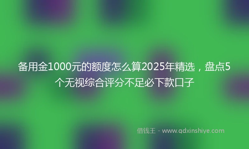备用金1000元的额度怎么算2025年精选，盘点5个无视综合评分不足必下款口子