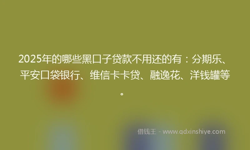 2025年的哪些黑口子贷款不用还的有：分期乐、平安口袋银行、维信卡卡贷、融逸花、洋钱罐等。