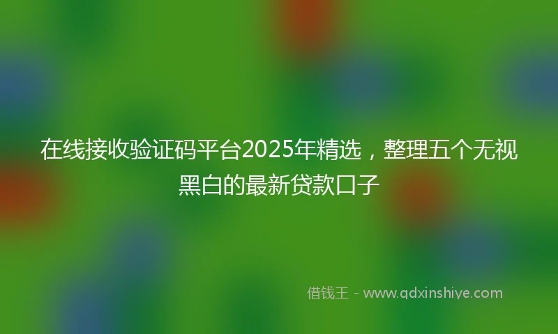 在线接收验证码平台2025年精选，整理五个无视黑白的最新贷款口子