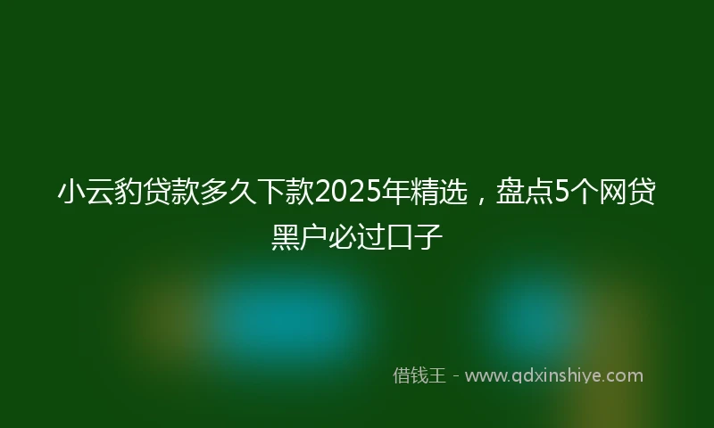 小云豹贷款多久下款2025年精选，盘点5个网贷黑户必过口子
