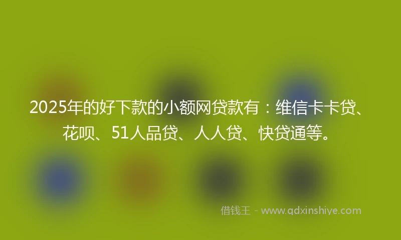 2025年的好下款的小额网贷款有：维信卡卡贷、花呗、51人品贷、人人贷、快贷通等。