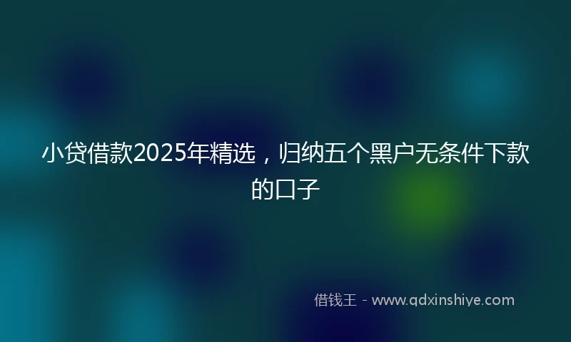 小贷借款2025年精选，归纳五个黑户无条件下款的口子