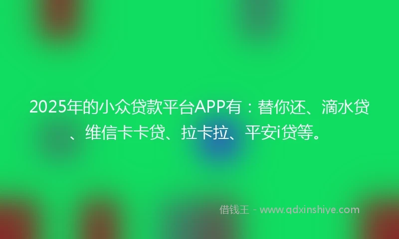 2025年的小众贷款平台APP有：替你还、滴水贷、维信卡卡贷、拉卡拉、平安i贷等。