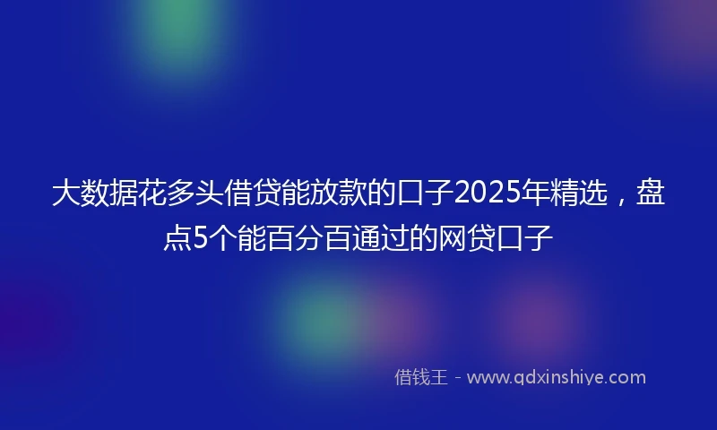 大数据花多头借贷能放款的口子2025年精选，盘点5个能百分百通过的网贷口子