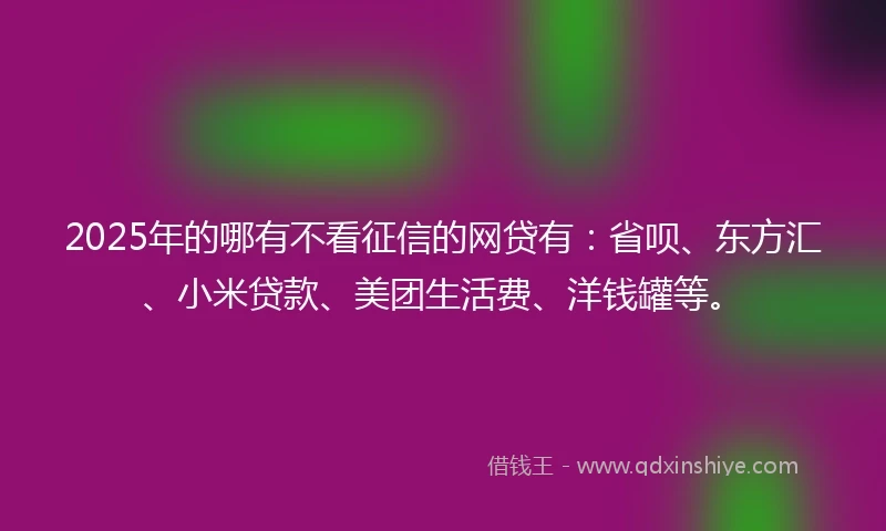 2025年的哪有不看征信的网贷有：省呗、东方汇、小米贷款、美团生活费、洋钱罐等。