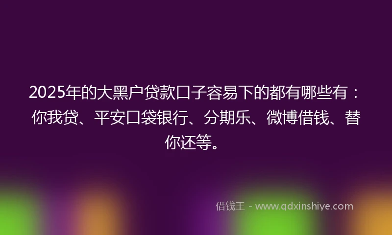 2025年的大黑户贷款口子容易下的都有哪些有：你我贷、平安口袋银行、分期乐、微博借钱、替你还等。