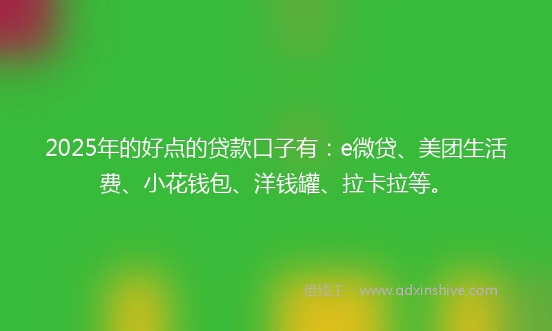 2025年的好点的贷款口子有：e微贷、美团生活费、小花钱包、洋钱罐、拉卡拉等。