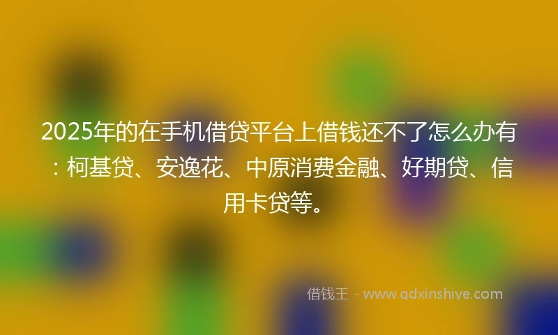 2025年的在手机借贷平台上借钱还不了怎么办有:柯基贷、安逸花、中原消费金融、好期贷、信用卡贷等。