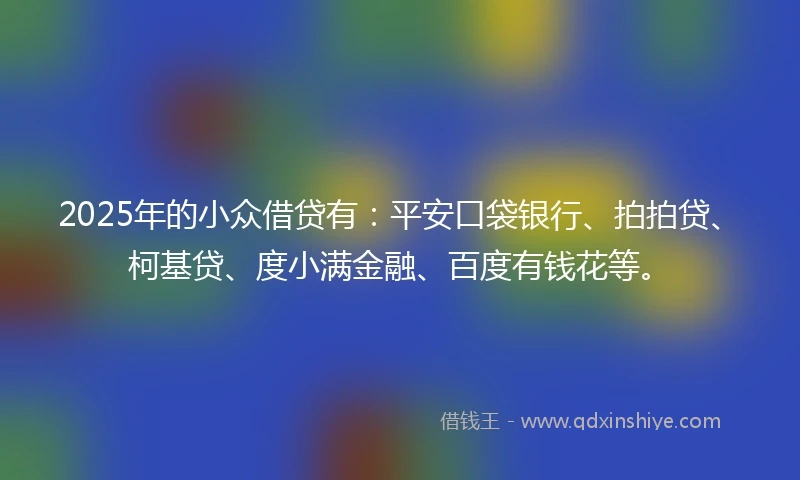 2025年的小众借贷有：平安口袋银行、拍拍贷、柯基贷、度小满金融、百度有钱花等。