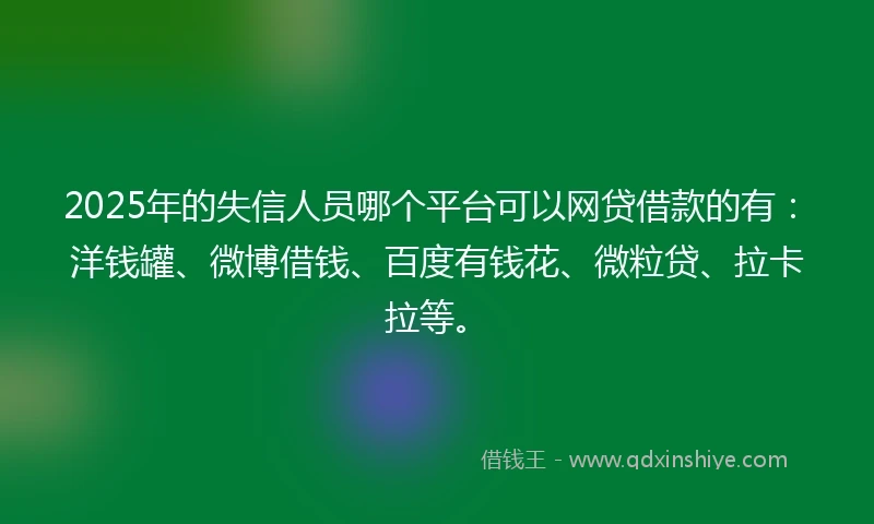 2025年的失信人员哪个平台可以网贷借款的有：洋钱罐、微博借钱、百度有钱花、微粒贷、拉卡拉等。