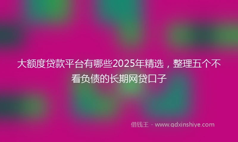 大额度贷款平台有哪些2025年精选，整理五个不看负债的长期网贷口子