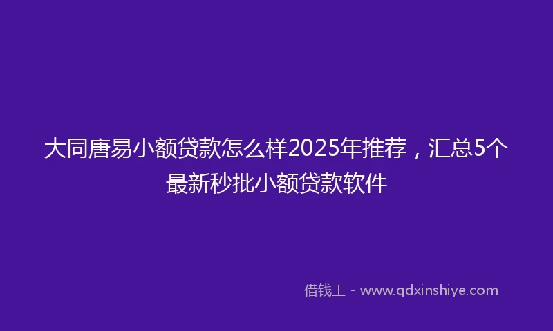 大同唐易小额贷款怎么样2025年推荐，汇总5个最新秒批小额贷款软件
