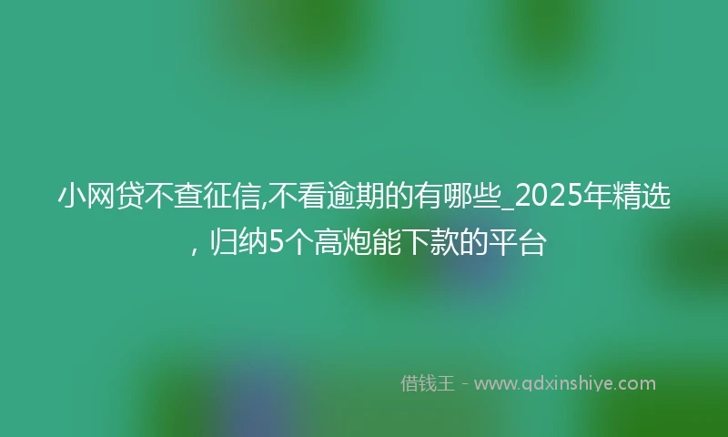 小网贷不查征信,不看逾期的有哪些_2025年精选，归纳5个高炮能下款的平台