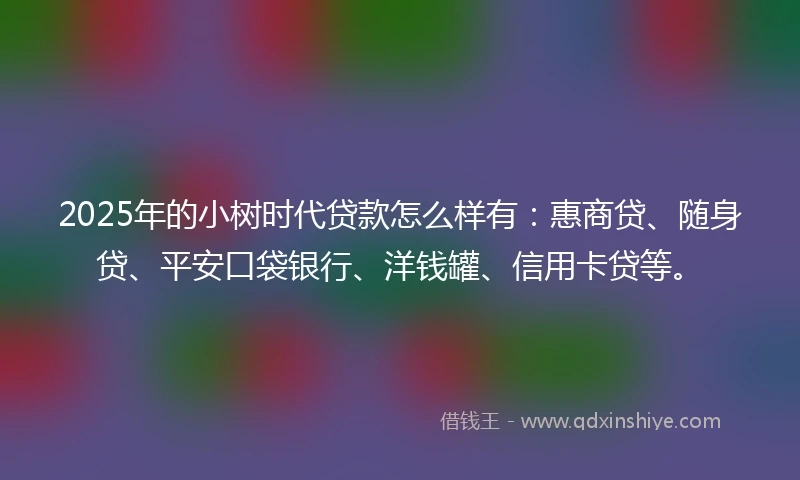 2025年的小树时代贷款怎么样有：惠商贷、随身贷、平安口袋银行、洋钱罐、信用卡贷等。