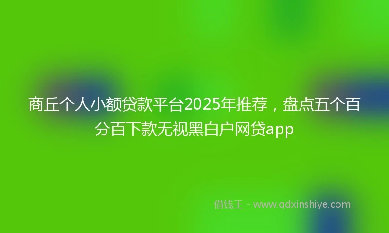 商丘个人小额贷款平台2025年推荐，盘点五个百分百下款无视黑白户网贷app
