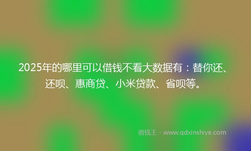 2025年的哪里可以借钱不看大数据有：替你还、还呗、惠商贷、小米贷款、省呗等。
