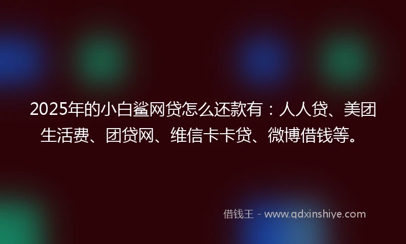 2025年的小白鲨网贷怎么还款有：人人贷、美团生活费、团贷网、维信卡卡贷、微博借钱等。