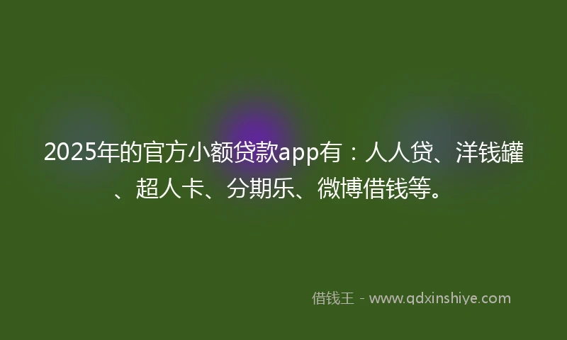 2025年的官方小额贷款app有：人人贷、洋钱罐、超人卡、分期乐、微博借钱等。