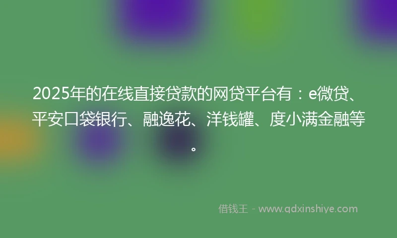 2025年的在线直接贷款的网贷平台有：e微贷、平安口袋银行、融逸花、洋钱罐、度小满金融等。