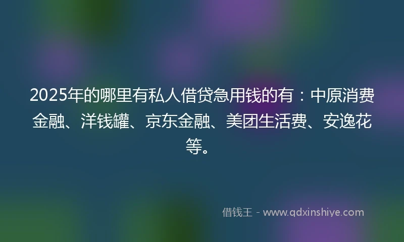 2025年的哪里有私人借贷急用钱的有：中原消费金融、洋钱罐、京东金融、美团生活费、安逸花等。