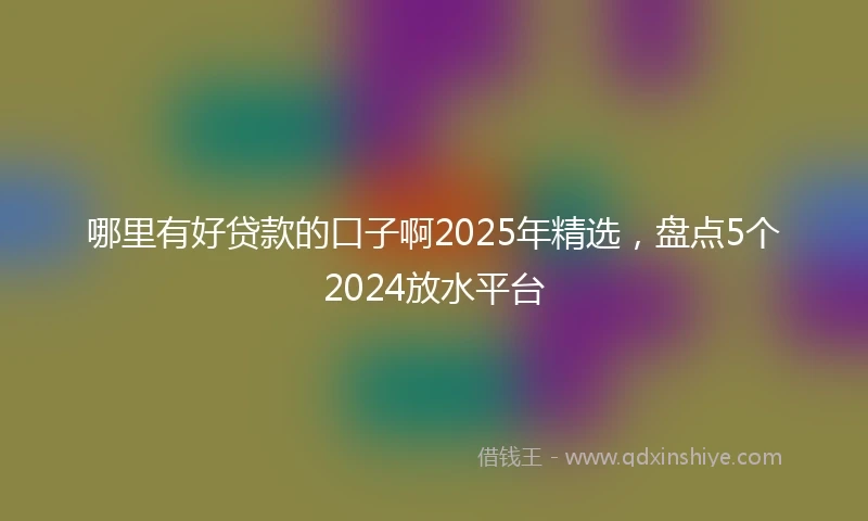 哪里有好贷款的口子啊2025年精选，盘点5个2024放水平台