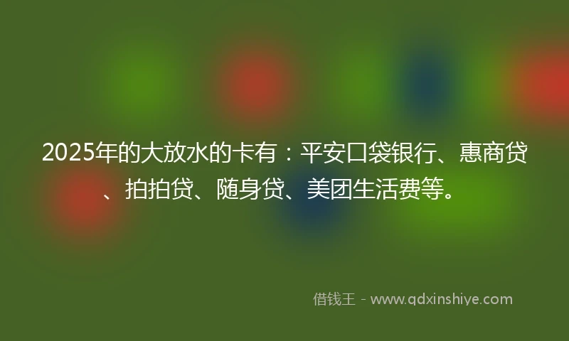 2025年的大放水的卡有：平安口袋银行、惠商贷、拍拍贷、随身贷、美团生活费等。
