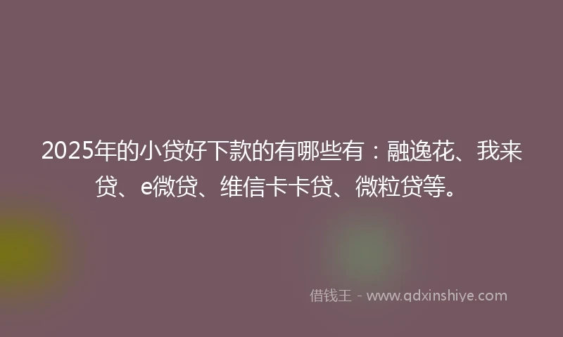 2025年的小贷好下款的有哪些有：融逸花、我来贷、e微贷、维信卡卡贷、微粒贷等。
