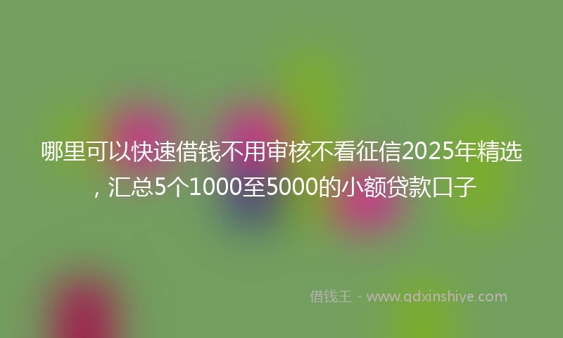 哪里可以快速借钱不用审核不看征信2025年精选，汇总5个1000至5000的小额贷款口子