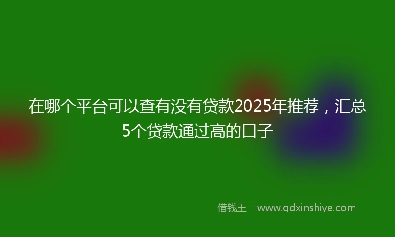 在哪个平台可以查有没有贷款2025年推荐，汇总5个贷款通过高的口子