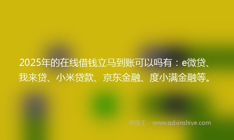 2025年的在线借钱立马到账可以吗有：e微贷、我来贷、小米贷款、京东金融、度小满金融等。