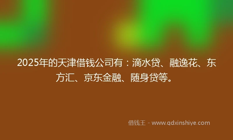 2025年的天津借钱公司有：滴水贷、融逸花、东方汇、京东金融、随身贷等。
