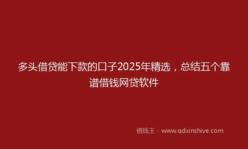 多头借贷能下款的口子2025年精选，总结五个靠谱借钱网贷软件